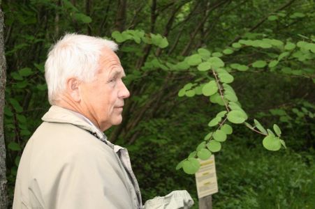 arboretum norr 2008 06 13