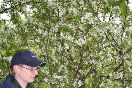 arboretum norr 2008 06 13