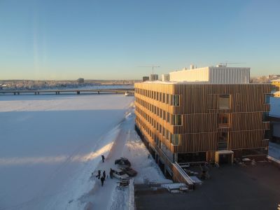 bildmuseet med lunch 2013 01 09