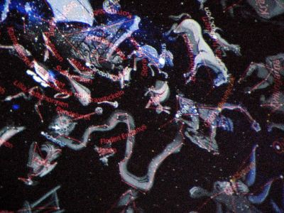  12 umevatoriet 2008 02